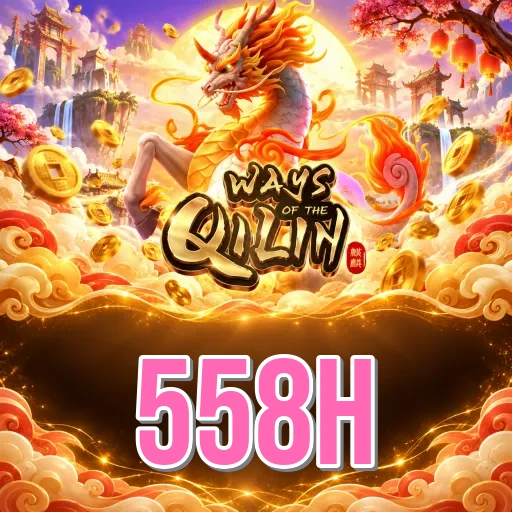558h Overview